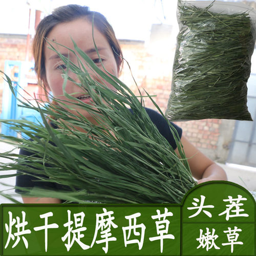 26年新烘干岷县提草提摩西北提兔子龙猫荷兰猪牧草兔粮毛重1000g - 图0