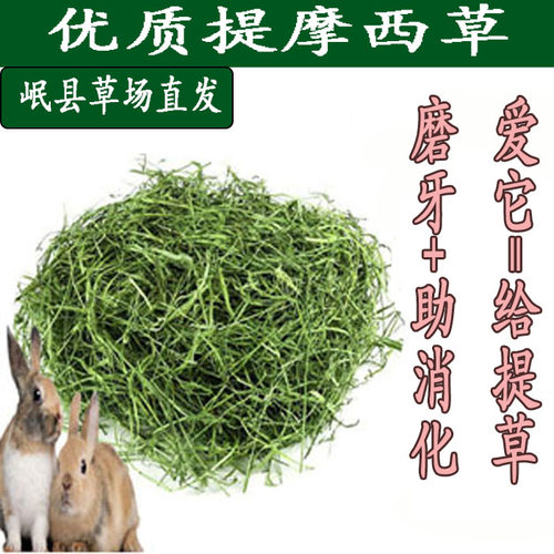 26年晾晒新草优质提摩西草北提龙猫豚鼠兔粮荷兰猪牧草岷县产地发 - 图1