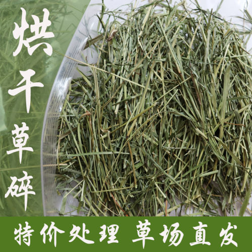 26年新烘干岷县提草提摩西北提兔子龙猫荷兰猪牧草兔粮毛重1000g - 图2