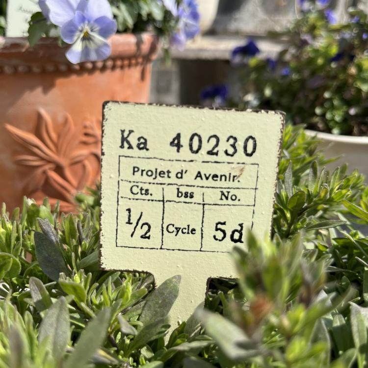 日系INS铁艺摆件园艺杂货花插挂牌吊牌绿植室外阳台庭院装饰插牌,淘宝优惠券,粉丝福利购,淘宝优惠卷