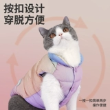 Удерживающий тепло демисезонный пуховик, жилет, осенний сезон, увеличенная толщина