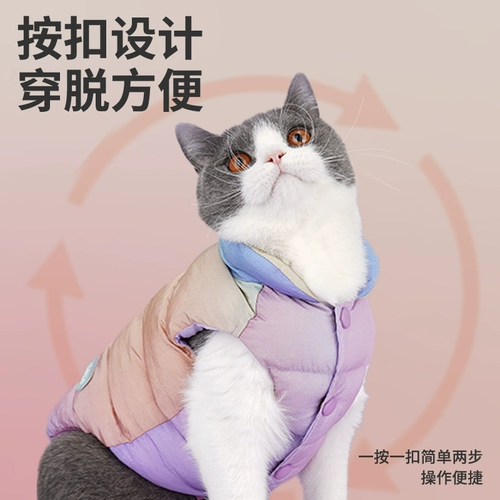 Удерживающий тепло демисезонный пуховик, жилет, осенний сезон, увеличенная толщина