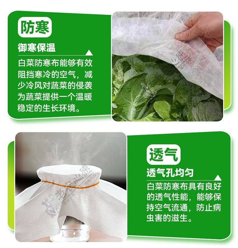 农用蔬菜防寒布萝卜白菜保温大蒜窝笋茶叶防霜冻保暧透气防寒布,淘宝优惠券,粉丝福利购,淘宝优惠卷