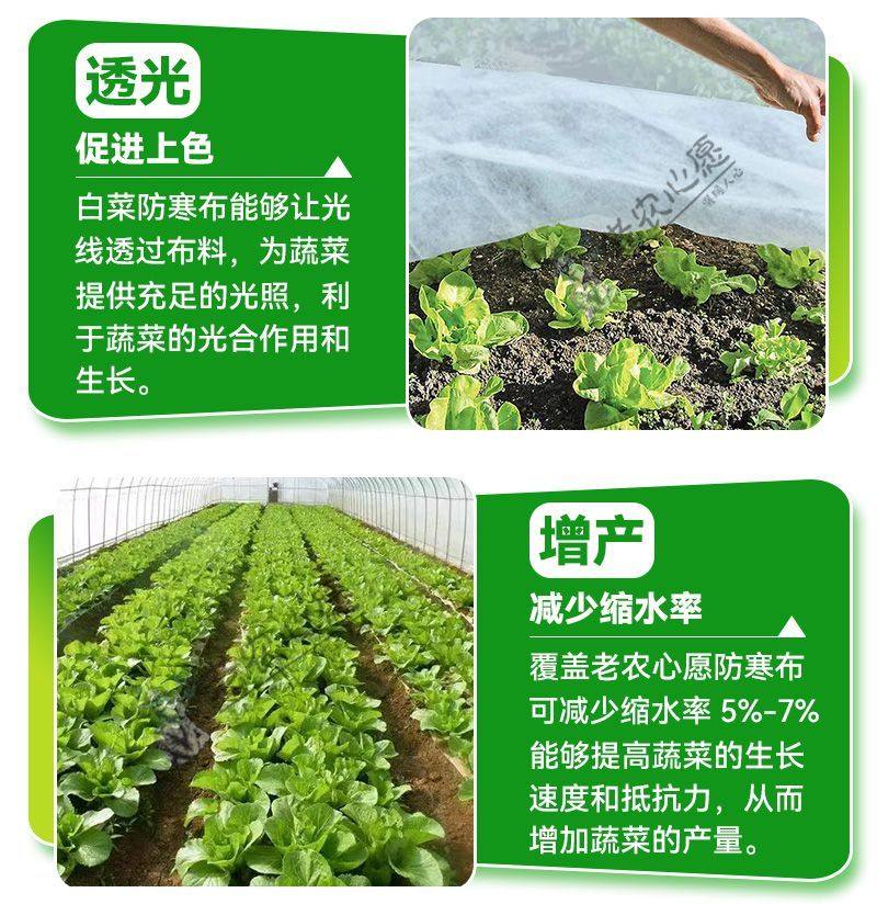 农用蔬菜防寒布萝卜白菜保温大蒜窝笋茶叶防霜冻保暧透气防寒布,淘宝优惠券,粉丝福利购,淘宝优惠卷