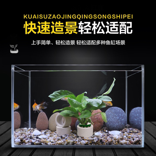 新款水草定植三件套陶瓷环固定杯下沉杯定植蓝定植环定植棉不掉篮 - 图3