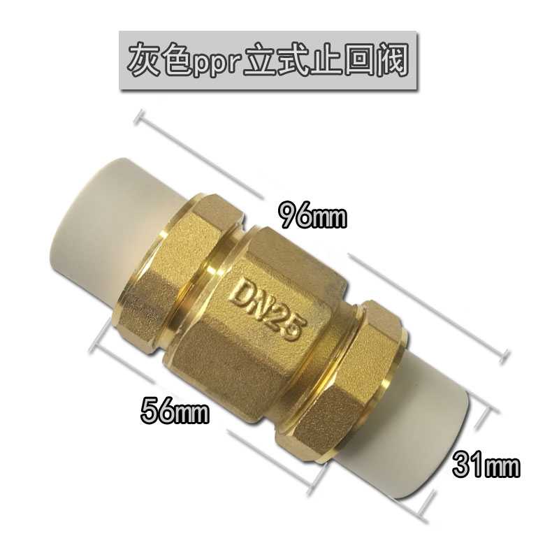 PPR202532405063卧式止回阀单向阀防倒流阀逆止阀灰色立式止回阀