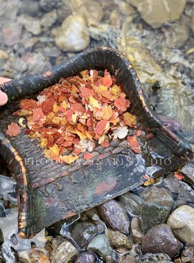 花生衣皮天然植物染材草木染料
