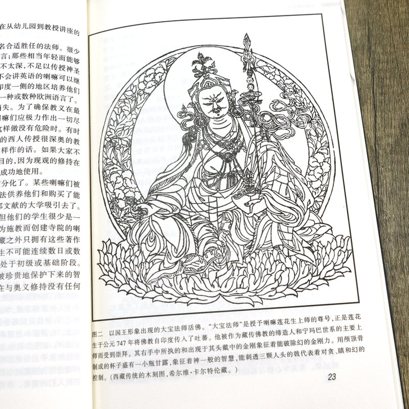 西藏佛教密宗 约翰布洛菲尔德著藏传佛*藏学西藏密教金刚乘西藏文化书籍 - 图3
