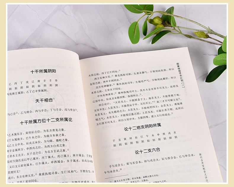 渊海子平大全 四库存目子平汇刊1 命学经典著作 阴阳五行 四柱学 八字书籍 易经 风水书籍 - 图3