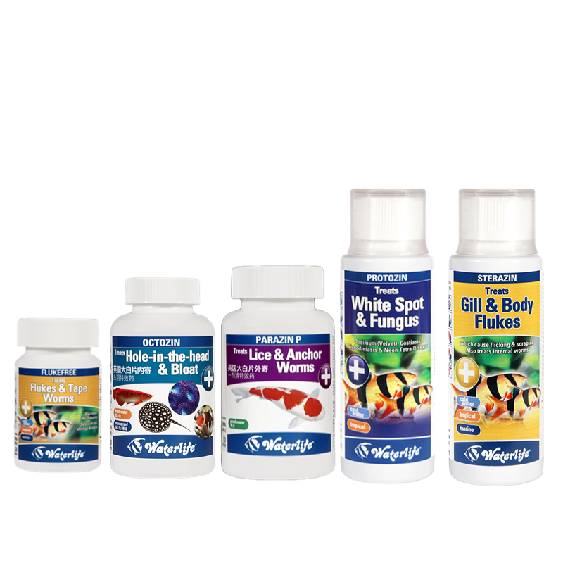 英国进口Waterlife大白片龙鱼魟鱼罗汉内寄外寄鳃虫白点头洞凸眼,淘宝优惠券,粉丝福利购,淘宝优惠卷