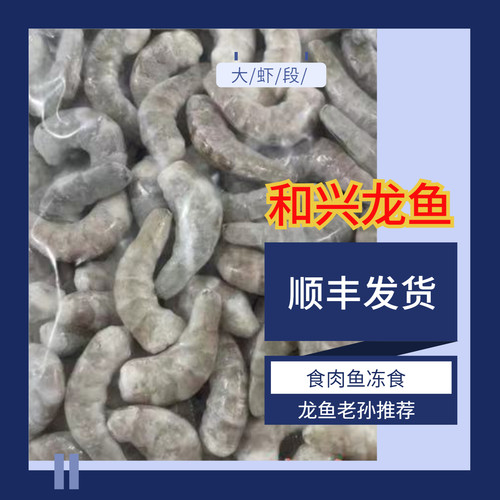 和兴速冻丁鱼泥鳅段虾段罗汉地图肉食性鱼类冻食6斤每周246发货 - 图2