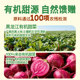 Zhan Yi Zhen Selection Edible White Sugar and Fine Sugar