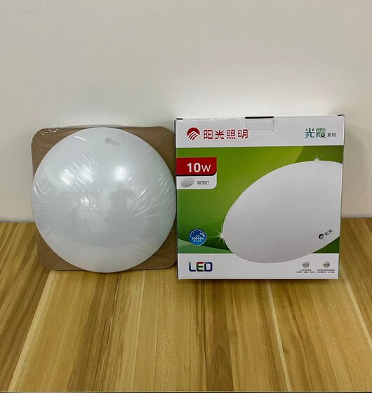 Sunshine round modern simple LED