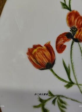 英国产Minton明顿骨瓷宽厚金边手工彩绘虞美人装饰赏盘复古精致