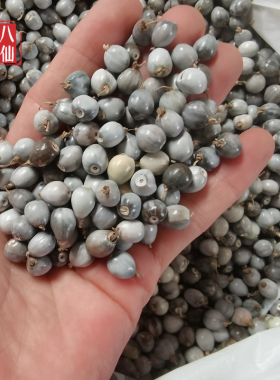 天然草珠子薏苡手串手工串珠挂件