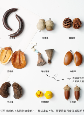 天然植物耳环果实带钉橡果干果diy手工果子创意个性耳饰手链植物