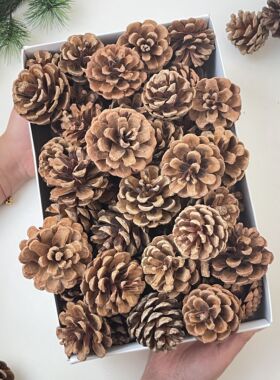 松果手工DIY圣诞节日装饰