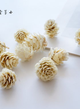 【漂白落叶松花】天然植物加工花松花手工diy材料圣诞花环制作