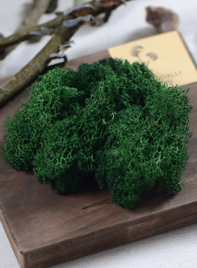 【永生苔藓】优质花材青苔 森系干花环胸花相框微景观玻璃罩材料
