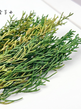 【松柏针】天然植物手工diy材料素材 幼儿环创圣诞花环圣诞树装饰