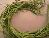 1000G Бесплатная доставка Первая -класс безлистных притоков моха сушеный мх сушеный мх, ферма, сушеная почва, обезвоженные овощи не высушенные.