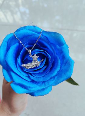 一“叶”星辰镶钻五角星项链创意军旅风吊坠橄榄枝送女友军嫂礼物