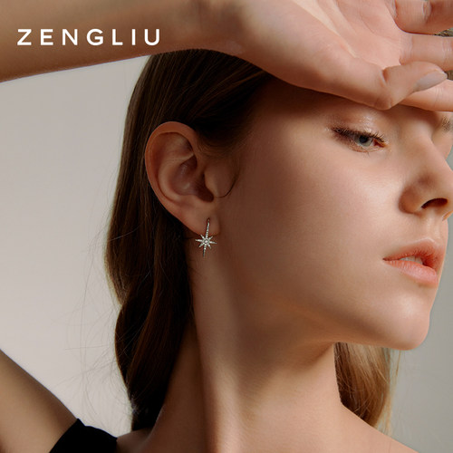 zegl真柳八芒星耳环女精致简约星星耳钉新款独特爆款高级轻奢耳饰 - 图0