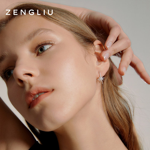 zegl真柳八芒星耳环女精致简约星星耳钉新款独特爆款高级轻奢耳饰 - 图1