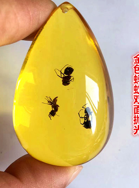 昆虫标本琥珀蝎子蜘蛛项链蝴蝶吊坠知了虫珀原石儿童礼物小学课本