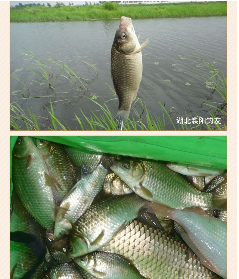 钓鱼浓腥味小药添加剂红虫蚯蚓浓缩液体冬季低温鲫鱼饵窝料促食剂-图1