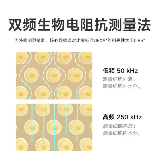Xiaomi Official Flagship Store Mijia Body Fat Scale S400 Pro Intelligent Accurate Weight Loss Special Fat Loss Weighing Electronic Scale Health Home Weight Scale Body Fat Scale Fat Scale Color Screen Health Gift