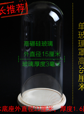 微景观玻璃情人节摆件永生花