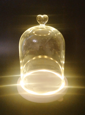 暖灯玻璃diy防尘手模批发永生花