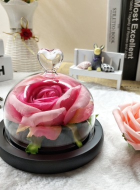 diy永生花玻璃罩手办透明工艺品