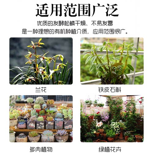 松树皮发酵腐熟兰花专用营养土铺面植料石斛蝴蝶兰通用优质松鳞 - 图2