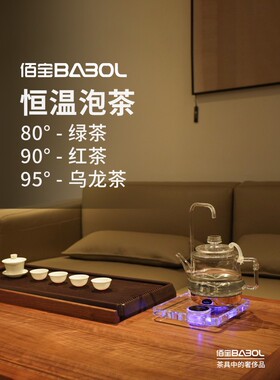 自动上水控温烧水壶水晶玻璃