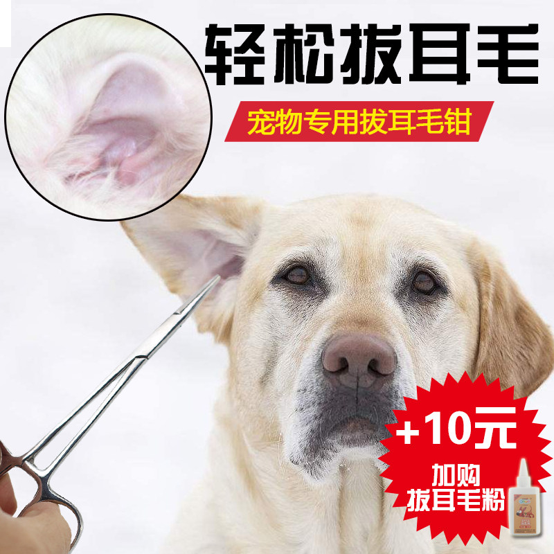 狗狗剪耳朵毛 新人首单立减十元 21年9月 淘宝海外
