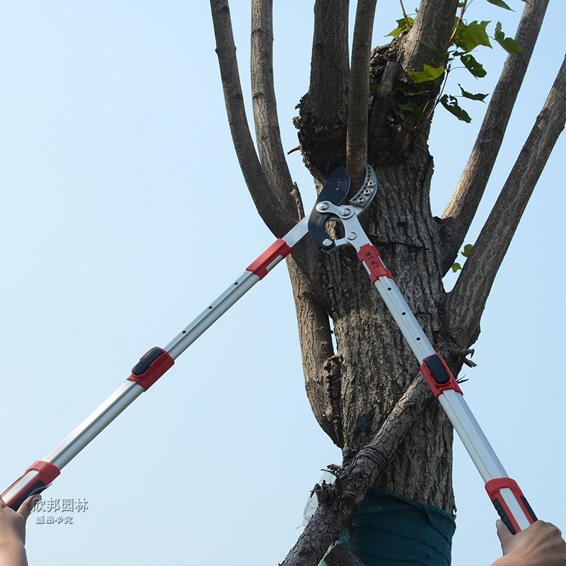 强力粗枝剪伸缩大剪刀修树大压力剪园林园艺工具果树省力剪修枝剪_虎窝淘
