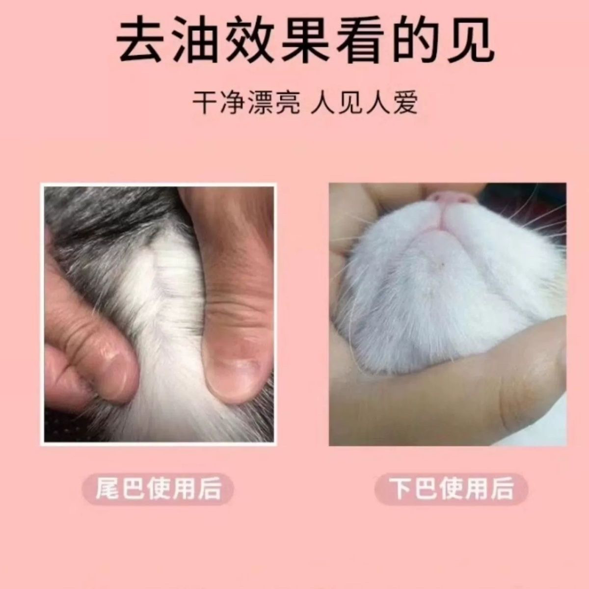 BIS赛级洗护去油酶猫咪去油精华洗澡解决油脂黑尾油黑下巴300ml,淘宝优惠券,粉丝福利购,淘宝优惠卷