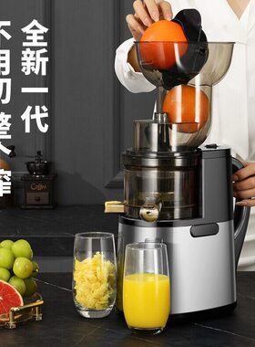 110v伏出口新款大口径汁
