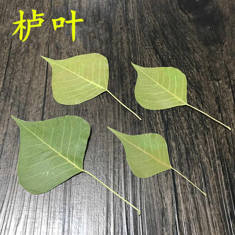 櫨 新人首單立減十元 22年10月 淘寶海外