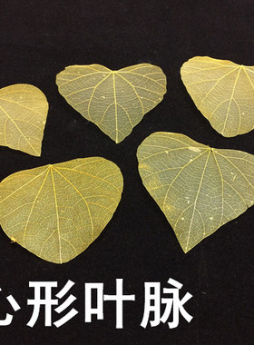 叶脉 心形叶脉 天然真树叶网叶diy滴胶永生花手机壳素材压花画