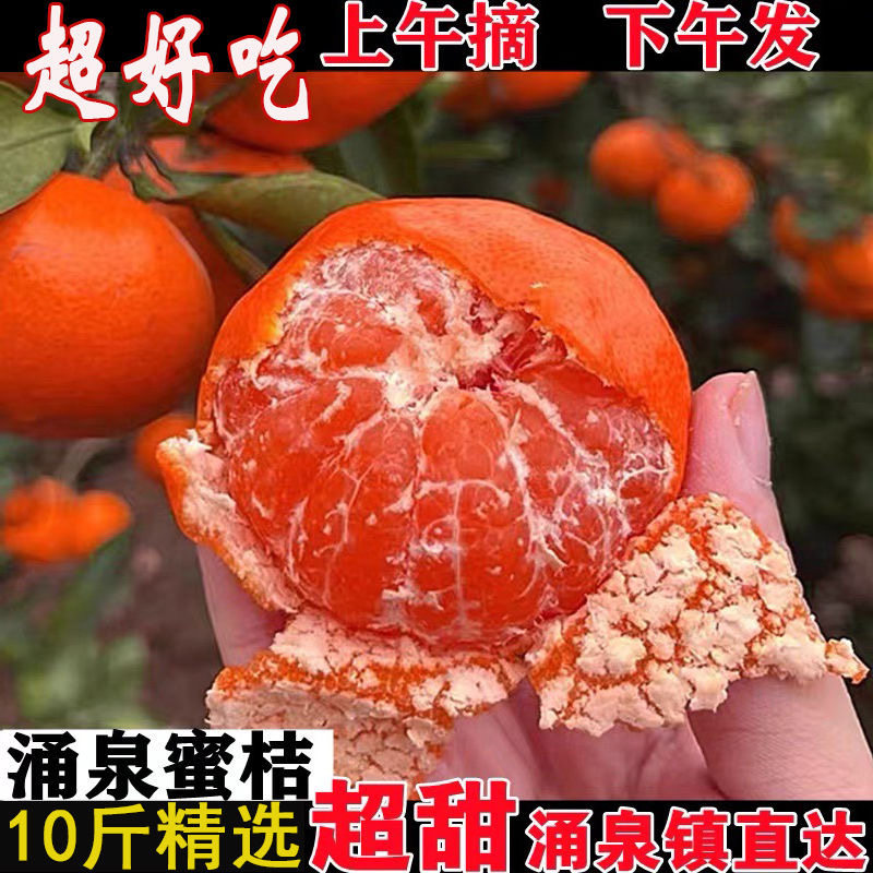 正宗临海涌泉蜜桔应季新鲜水果橘子10斤整箱黄岩蜜桔旗舰店,淘宝优惠券,粉丝福利购,淘宝优惠卷