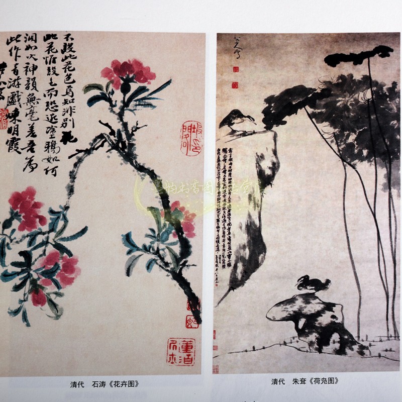 中国历代花鸟画谱 中国历代经典画谱当代书画市场实景描述中国山水画技法教程古代绘画作品文化艺术书籍 陈斌 编 三秦出版社 - 图0