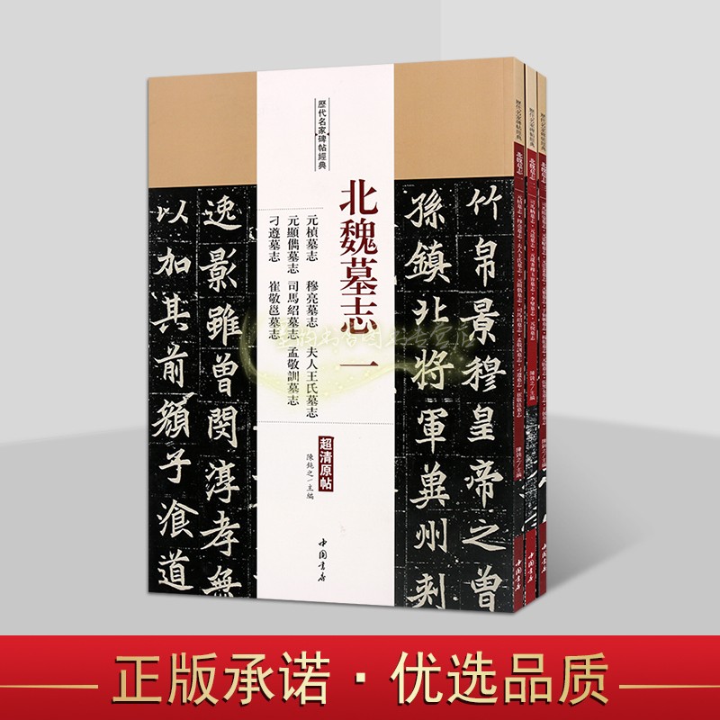 北魏墓志全集(套装3册)碑帖超高清原帖8开本魏碑体字帖元桢墓志穆亮元遥墓志司马显姿墓志墓志铭书法毛笔集字临摹书籍历代名家经典 - 图0