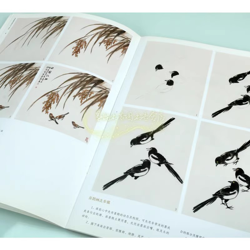 名家教你画国画花鸟全套17册名师教初学者绘画技法巧入门本喜鹊牡丹桃花草虫兰菊荷花石榴山石树木【赠画法视频教程】河南美术社书