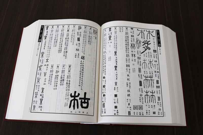 金石字典 金石篆刻大字典汤成沅编古籍影印版 甲骨文钟鼎文刻石铭文金文篆刻篆书书法艺术工具书说文解字古代汉字研究中国书店正版