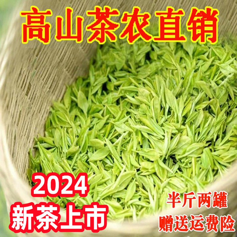 江西遂川狗牯脑茶2024明前珍品高山茶农早春茶叶炒青绿茶250克 - 图0