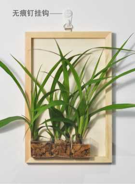 墙装饰壁挂水培真花绿萝薜荔长春藤绿植插花悬挂墙上壁饰家居简约