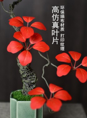 仿真观音莲老桩盆景红色秋叶室内